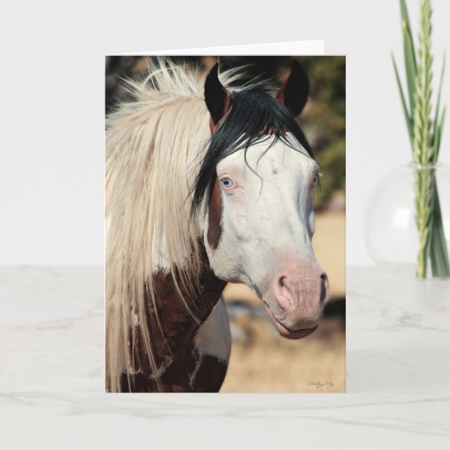 Shaman WildCard Cartões de agradecimentos (Frente)