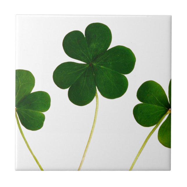 Shamrock Dia de São Patrício (Frente)