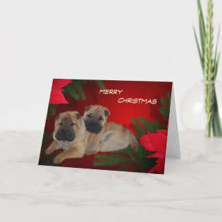 Shar Pei Puppies Cartão Poinsettia