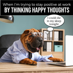 Shar Pei tentando se manter positivo na camisa de