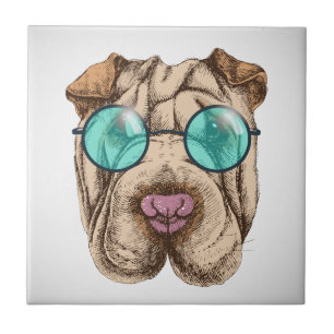 Sharpei Nos Óculos De Sol