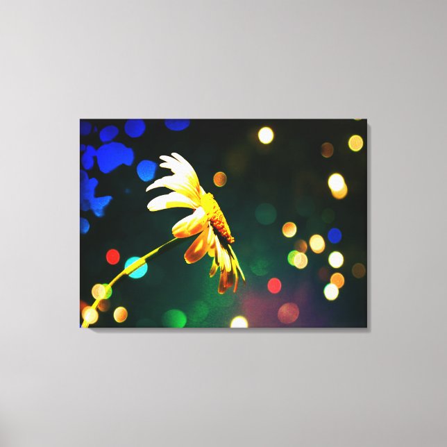 Shasta Daisy Sparkle Canvas (Frente)