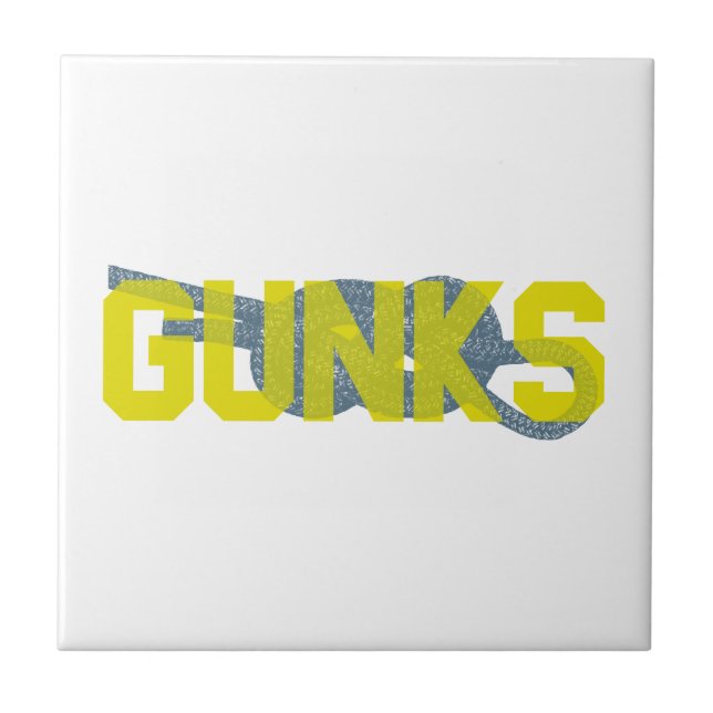 Shawagunks Subindo (Frente)