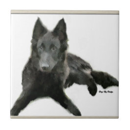 Sheepdog Art belga