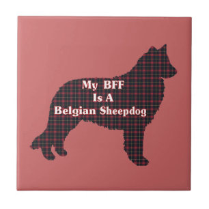 Sheepdog belga BFF