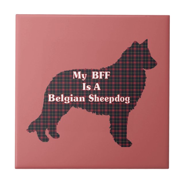 Sheepdog belga BFF (Frente)