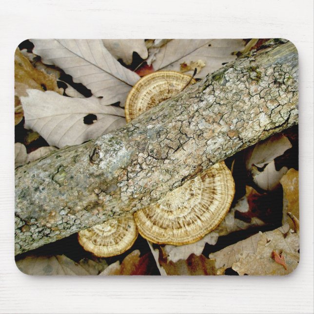 Shelf Fungus em novembro Mousepad (Frente)