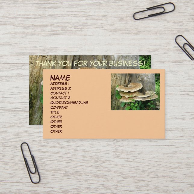 Shelf Fungus em Stump Cartão de visita (Frente/Verso In Situ)