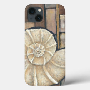 Shell Abalone