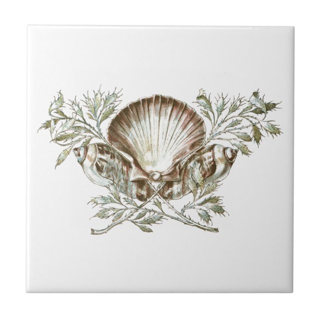 Shell branco (Frente)