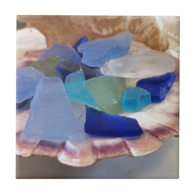 Shell De Balões Com Vidro Do Mar (Frente)