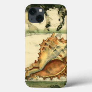 Shell de Conch Silhout