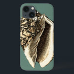 Shell de Conch Teal<br><div class="desc">Nesta linda concha branca e preta,  você pode ver o sombreamento de uma concha natural muito nítida e clara.  Você pode se imaginar na praia caçando conchas ou brincando na areia. Coloque esta arte náutica de concha de chás em seus produtos favoritos hoje!</div>