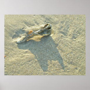 Shell de lavagem por onda de poster