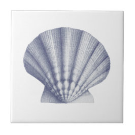 Shell do Mar Azul Moderno Vintage