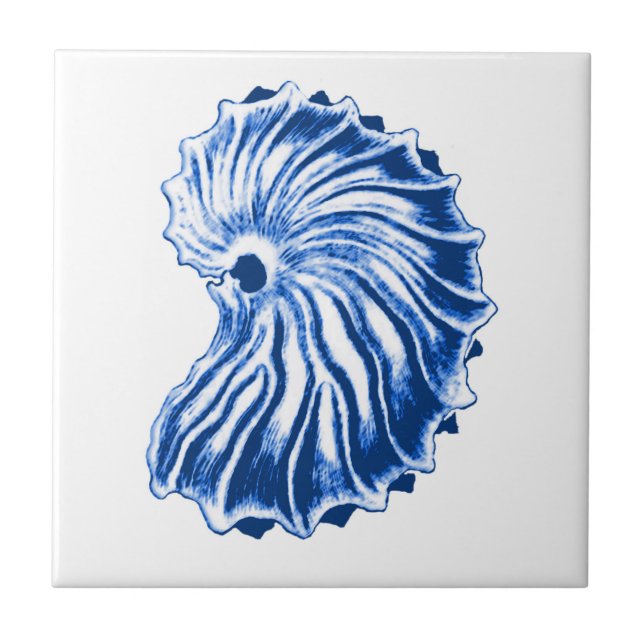 Shell Espiral, Azul Indigo e Branco (Frente)