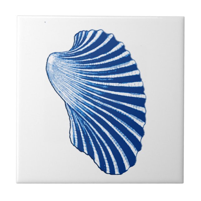 Shell Scallop, Azul Indigo e Branco (Frente)