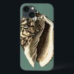 Shell Teal Conch<br><div class="desc">Nesta bela e clássica concha preta e branca,  você pode ver o sombreamento de uma concha natural muito afiada e clara. Você pode se imaginar na praia caçando conchas ou brincando na areia. Consiga esta arte náutica de concha de coleira em teal nos seus produtos favoritos hoje!</div>