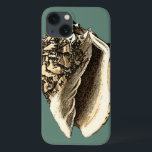 Shell Teal Conch<br><div class="desc">Nesta bela e clássica concha preta e branca,  você pode ver o sombreamento de uma concha natural muito afiada e clara. Você pode se imaginar na praia caçando conchas ou brincando na areia. Consiga esta arte náutica de concha de coleira em teal nos seus produtos favoritos hoje!</div>