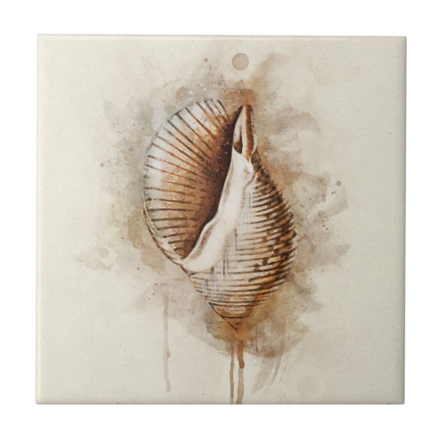 Shell Tropical Costeira de Praia (Frente)