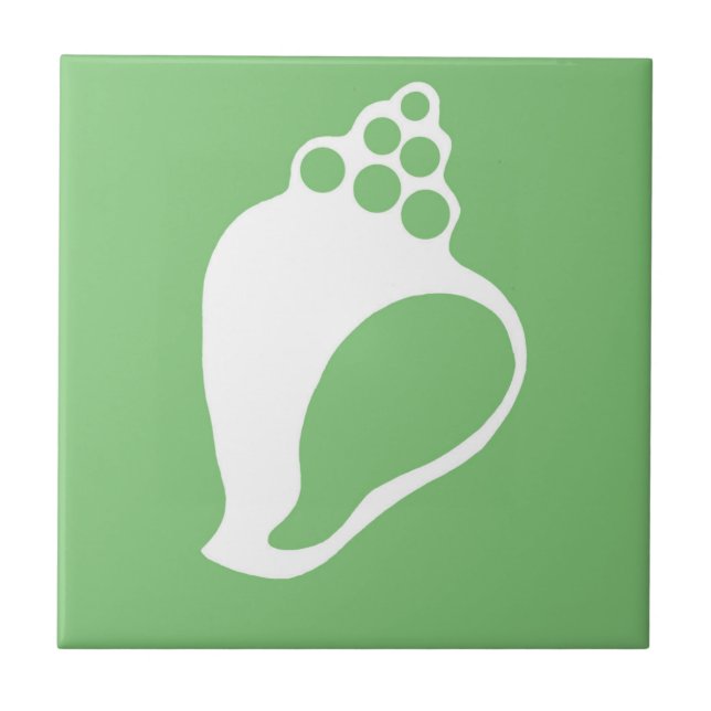 Shell Verde (Frente)