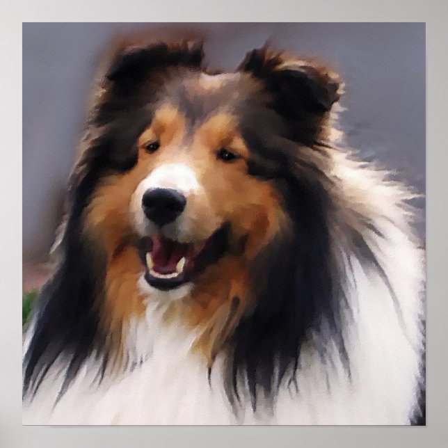 Sheltie Art Impressão (Frente)