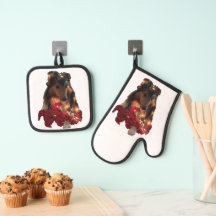 Sheltie de Natal