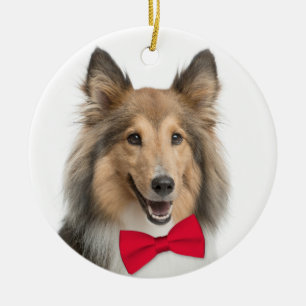 Sheltie Enfeites de natal