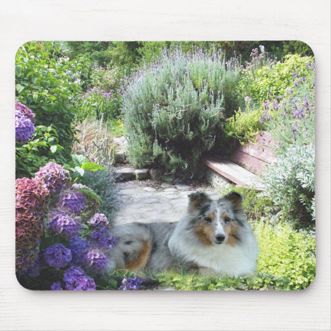 Sheltie Mousepad (Frente)