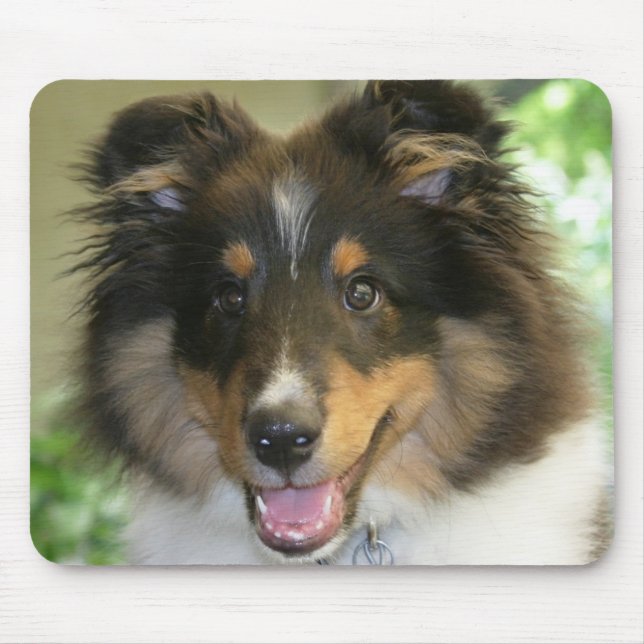 Sheltie Mousepad (Frente)