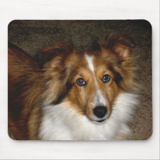 ~ Sheltie Mousepad do Sheepdog de Shetland
