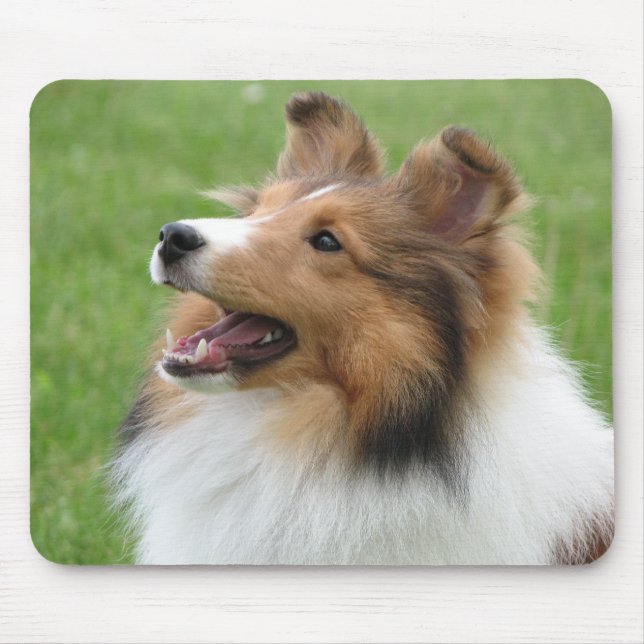 Sheltie no mousepad (Frente)