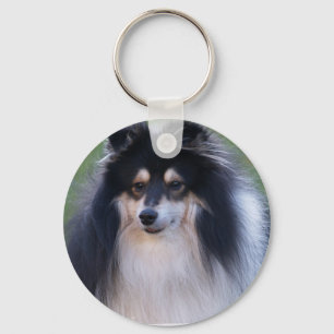 Sheltie Photo Chaveiro
