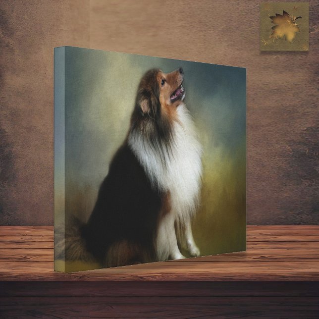 Sheltie Shetland Sheep Canvas (Criador carregado)