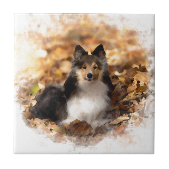 Sheltie Shetland Sheepdog Art Painting (Frente)