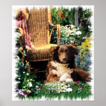 Shepherd Art Impressão