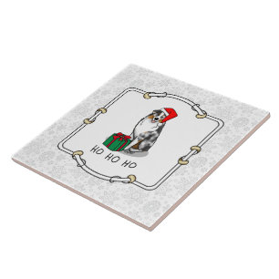 Shepherd australiano de Natal (bronzeado azul de m