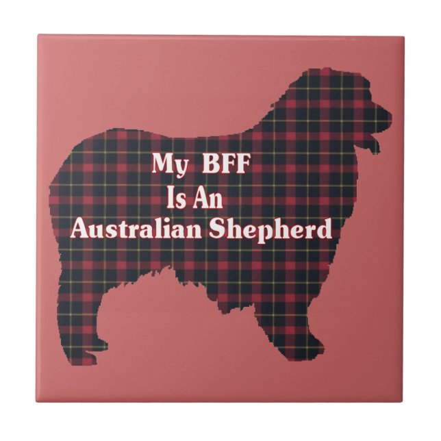 Shepherd BFF australiano (Frente)