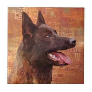 Shepherd - Ilustração Holandesa