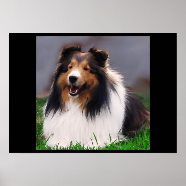 Shetland Sheepdog Art Impressão (Frente)