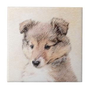 Shetland Sheepdog Puppy Pintura Original