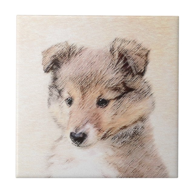 Shetland Sheepdog Puppy Pintura Original (Frente)