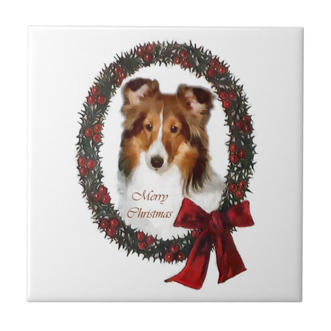 Shetland Sheepdog Sheltie Christmas (Frente)