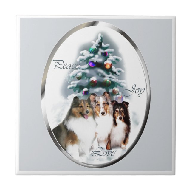 Shetland Sheepdog Sheltie Christmas (Frente)
