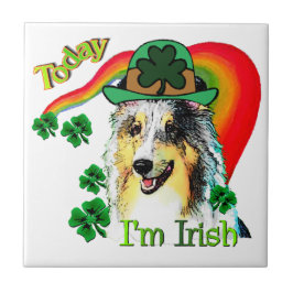 Shetland Sheepdog St Patricks
