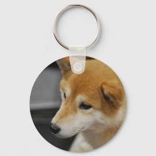 Shiba Inu Chaveiro