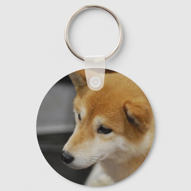 Shiba Inu Chaveiro (Frente)
