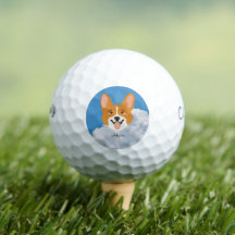 Shiba inu com bolas de golfe do céu