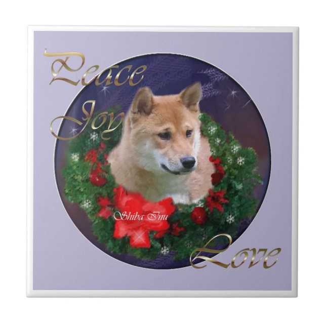Shiba Inu Natal (Frente)