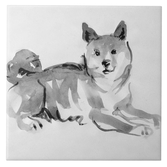 Shiba Inu Original Pintura 2 Anos Cachorro Anivers (Frente)